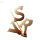 Logo-Verena-Rimmel-Regionales