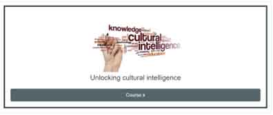 Unlocking Cultural INtelligence Jpg